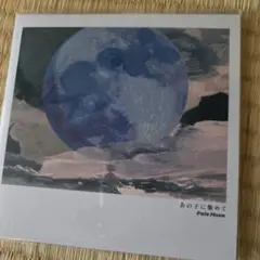 Pale Moon 「あの子に集めて」新品未開封
