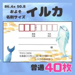【イルカ】宛名シール　差出人シール　普通サイズ　40枚　シンプル　海　魚