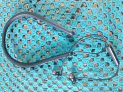 Item thumbnail for item 68499d38-107c-4182-b0b0-4f986c6f8cb1