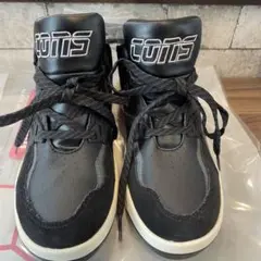 Item thumbnail for item 544a54f6-2a6a-491e-a735-dda6f554d540