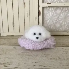 Item thumbnail for item 59386fef-41a4-458c-8586-b6a49c0c3345