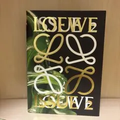 LOEWE ISSUE 2 アートブック