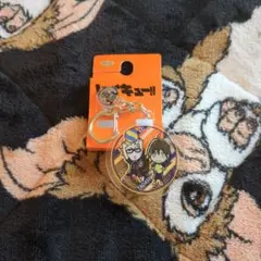 ハイキュー！！ 月島蛍 山口忠 アベイル ストラップ 美品