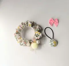 シュシュ