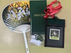 甲子園歴史館チケットホルダー&ボールチャーム付きユニフォームキーホルダー