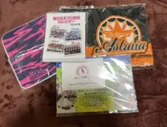 女子プロ野球 グッズセット