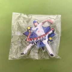 【新品未開封】勝野昌慶 アクリルピンバッチ 中日ドラゴンズ ガチャガチャ