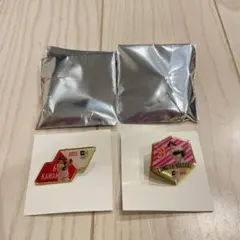 野球 記念ピンバッジ2個セット 2025