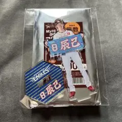 Eコレ MyHEROタオルアクリルスタンド 辰己涼介