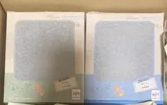 Item thumbnail for item 44c99005-3758-4e13-a181-2f58f03d8e25