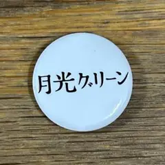 RSR 過去回　2019 ライジングサン ロックフェスティバル 缶バッジ ガチャ