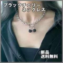 ブラックチェリー ネックレス 病みかわ 韓国 チョーカー マンテル