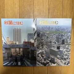 ♢ 秋葉に住む VOL.19 20 オリジナル フルカラー 同人誌