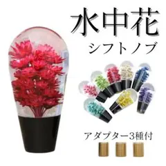 Item thumbnail for item 57874ff4-9a34-4183-8454-cab69793505b