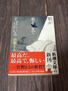 朝が来るまでそばにいる