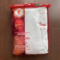 Item thumbnail for item 2a30dd43-507b-4737-879d-a55615953e14