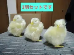 ひよこ リアル クレーンゲーム 景品 置物 3羽セット 【値下げ交渉可能】