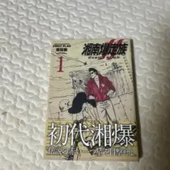 湘南爆走族 1