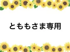 とももさま専用　スカラップ24cm 4枚他2点　ハンドメイド♪