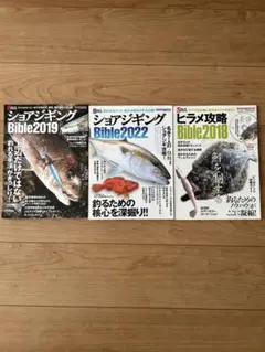 ショアジギング Bible 2019・2022・ヒラメ攻略 2018 3冊セット