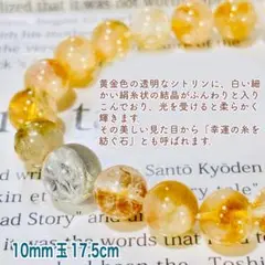 Item thumbnail for item 6b398456-3e1e-4820-baae-f227c305bdc5
