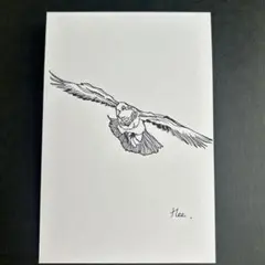 ボールペン画　鳩
