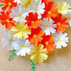 秋の壁面　オレンジのコスモス