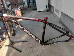 ORBEA ALMA フレーム