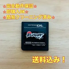 ポケットモンスター ブラック DS