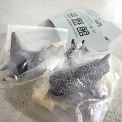 ジンベイザメ・イトマキエイ はしもとみおの彫刻 海遊館 ２種セット