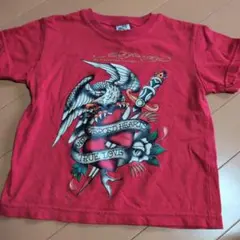 エドハーディー SSサイズ