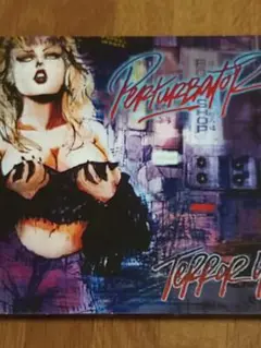 CD PERTURBATOR − TERROR404