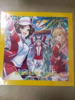 【傷み有】ウマ娘　WINNING LIVE 28 Amazon限定メガジャケ