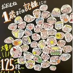 誕生から１歳までの成長記録！　母子手帳シール　マタニティフレークシール