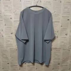 値下げ❗■ジョーゼットTEE■【GLOBAL WORK】■グレージュ■