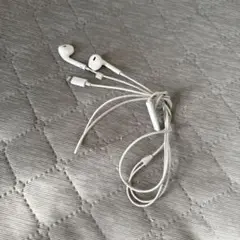 Item thumbnail for item b16f7e72-43d7-4036-874f-1c829eeb3353