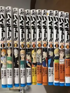 ハイキュー!!ショーセツバン!!