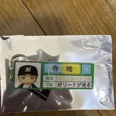 千葉ロッテマリーンズ パワプロマリーンズ アクリルキーホルダー