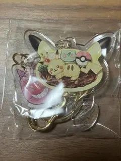 ポケモンカフェ アクリルキーホルダー 4番 ゲンガー フシギダネ カレー 未開封