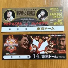 新日本プロレス東京ドーム デザインチケット2枚