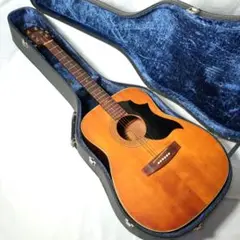 YAMAHA FG-240 グリーンラベル ギター ハードケース付 FG-240 グリ-ン Yamaha - ギター大図鑑 PoloPPo
