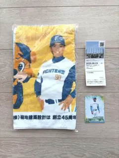 日本ハムファイターズ　稲葉篤紀　記念品セット