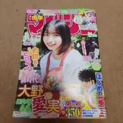 週刊少年マガジン2025年34号