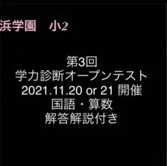 no22508106_【浜学園】小3国語復習テストのフルセット、おまけ付・レア品 no22508106_【浜学園】小3国語復習テストのフルセット、おまけ付