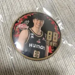 Item thumbnail for item fb0933f1-05f8-444b-adaf-bf7a633a6a8d