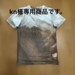 TINA: JOJUN ティナ　シアーTシャツ 半袖