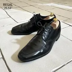 Item thumbnail for item 0cb1d02c-64a9-4a09-862f-d155f3ac525d