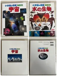 【バラ売りOK】小学館の図鑑5冊
