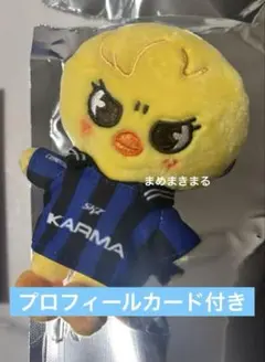 straykids KARMA skzoover. ぬい ポガリ