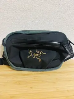 Arc'teryx Arro Waist Pack ダークマジック